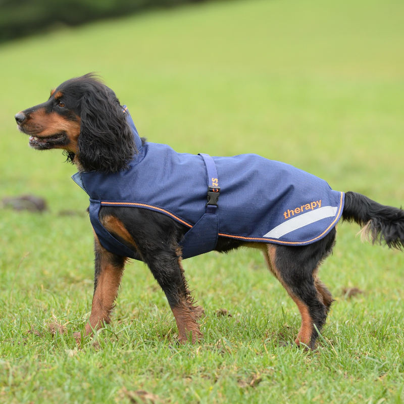 Bucas - Therapy Dog Blanket Navy/Orange 150g