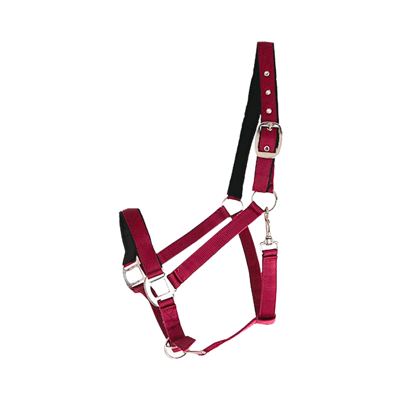 Canter - Licol nylon doublé bordeaux | - Ohlala