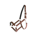 Canter - Licol nylon doublé marron | - Ohlala