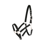 Canter - Licol nylon doublé noir | - Ohlala