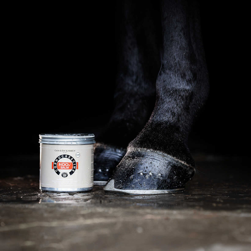 Carr & Day & Martin - Cornucrescine Clear Hoof Balm