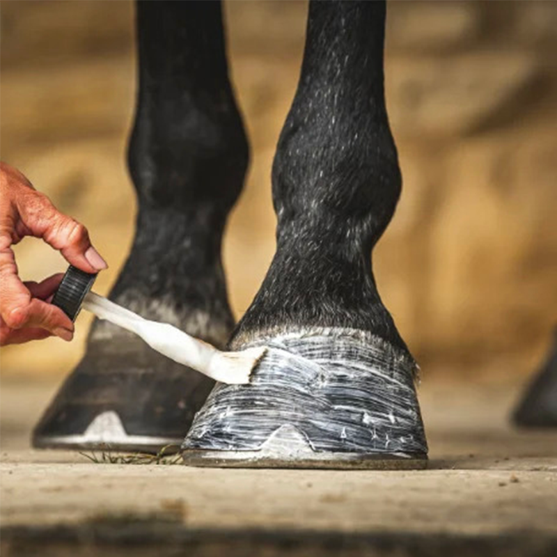 Carr & Day & Martin - Aceite para cascos Cornucrescine Daily Hoof Moisturiser | - Ohlala