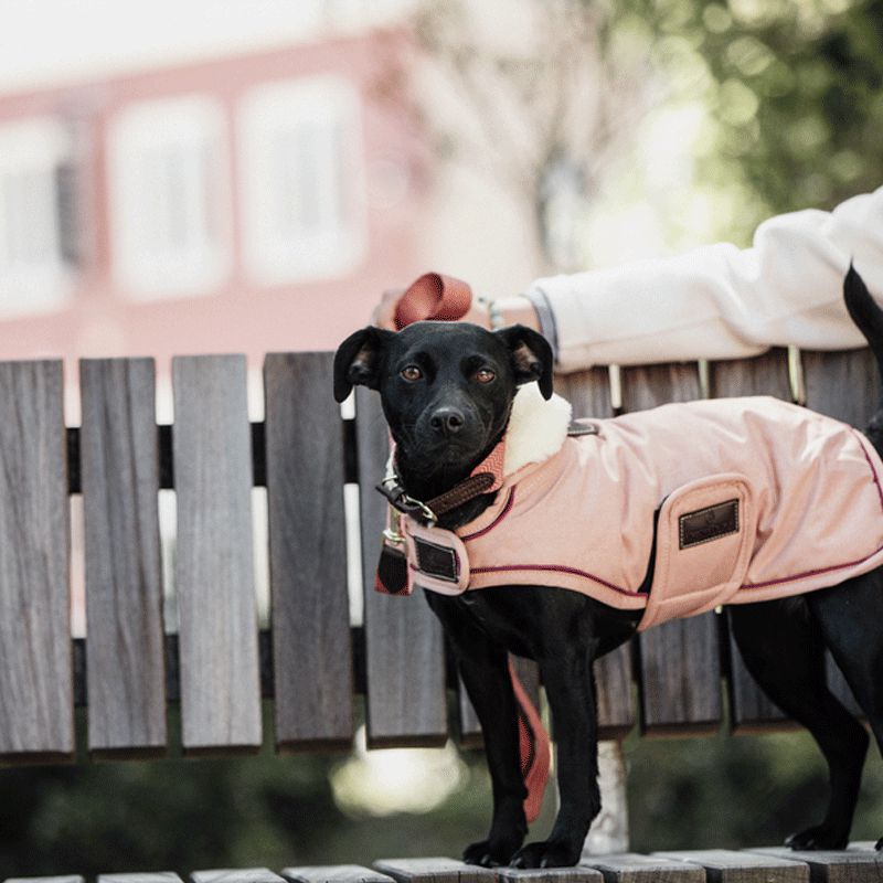 Kentucky Horsewear - コーラル防水犬用コート | - Ohlala