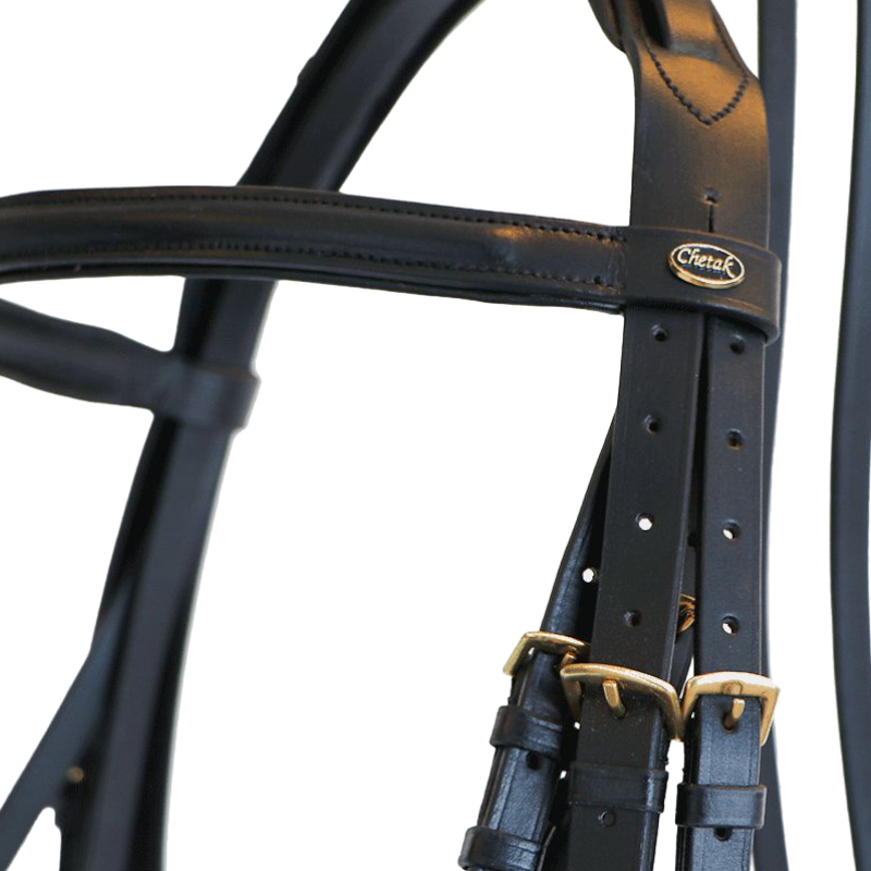 Canter - Embocadura Euro con riendas (2 pares) negro | - Ohlala