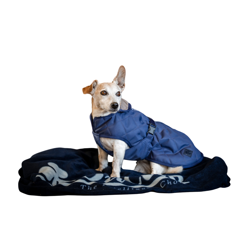 Bucas - Coperta per cane Cosy blu