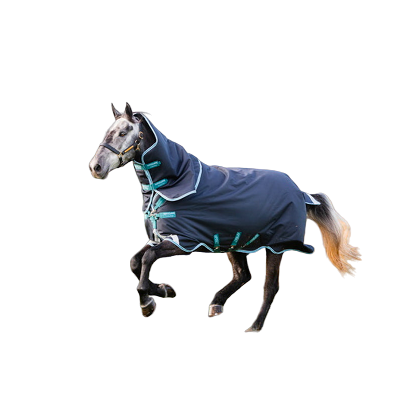 Horseware - Outdoor rug Amigo Bravo 12 Original navy/turquoise 100g | - Ohlala