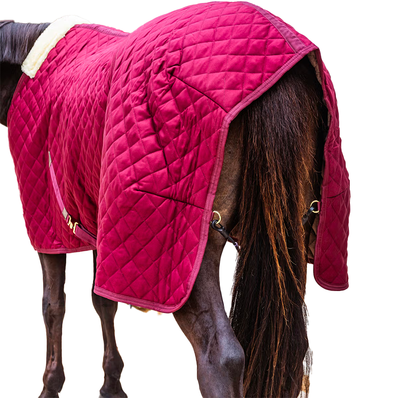Kentucky Horsewear - Derka stajenna bordowa 400g | - Ohlala