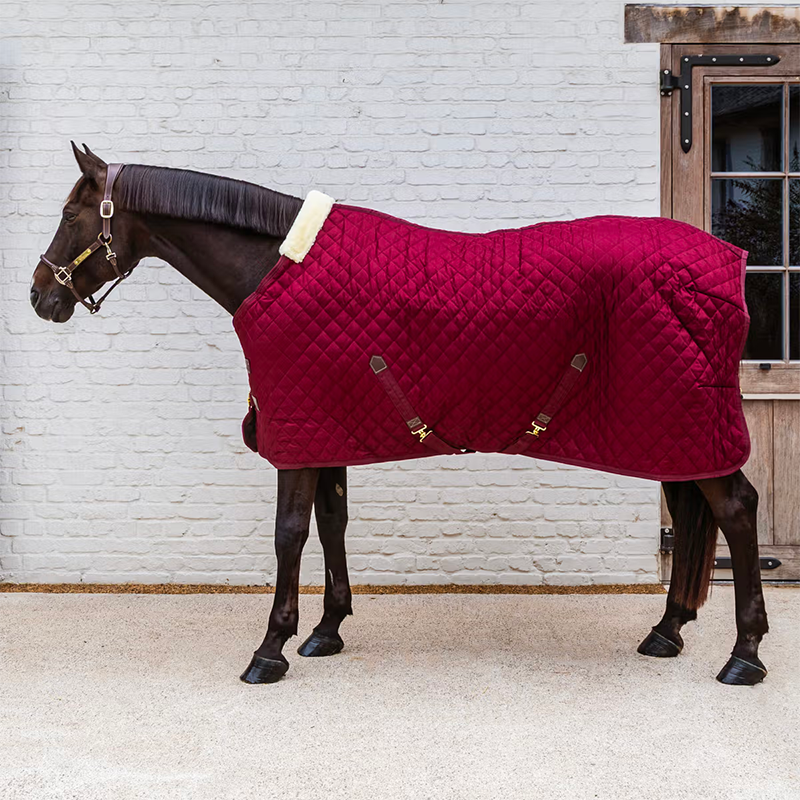 Kentucky Horsewear - Derka stajenna bordowa 400g | - Ohlala
