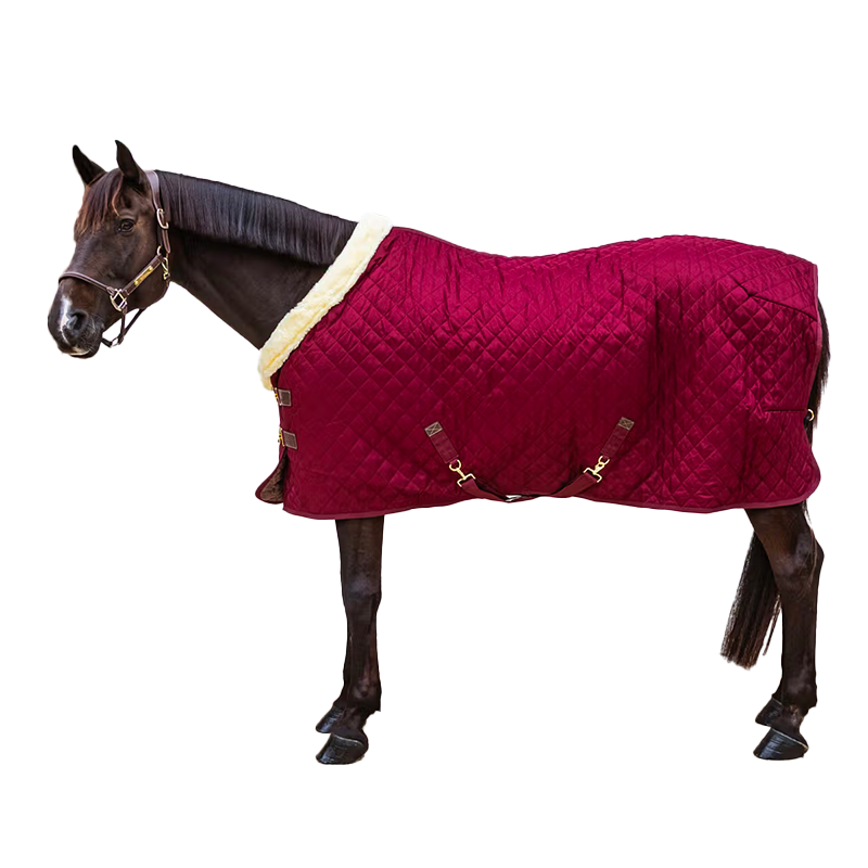 Kentucky Horsewear - Presentatiedeken bordeaux 160g | - Ohlala