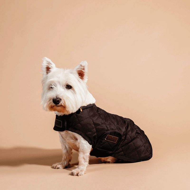Kentucky Dogwear - Hundemantel 160g braun | - Ohlala