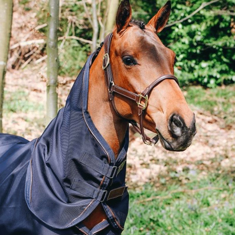 Kentucky Horsewear - 防水ネックカバー 150g ネイビー | - Ohlala