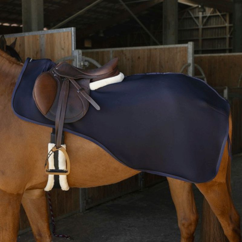 Equithème - Nierenwärmer Softshell Teddy marine | - Ohlala