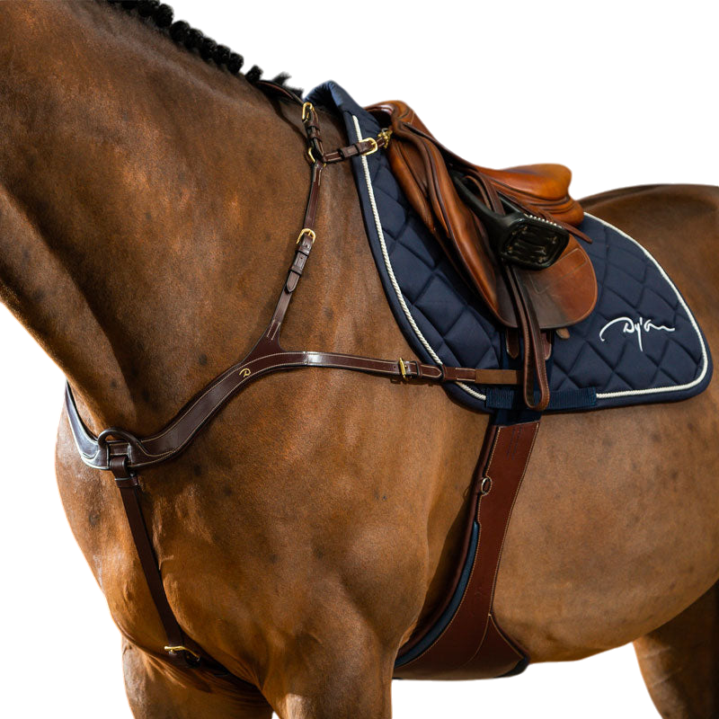 Dyon - Anatomisch borsttuig D Collection bruin | - Ohlala