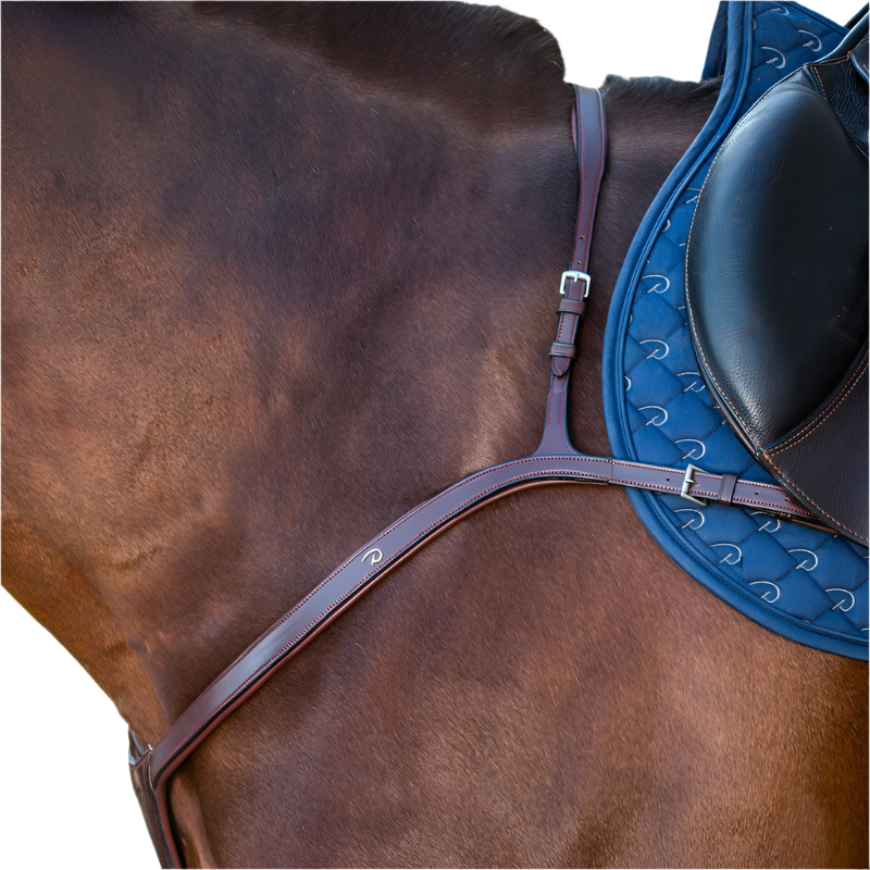 Dyon - Long bridge hunting breastplate New English Collection brown | - Ohlala