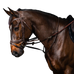 Dyon - Enrênement Howlett complet Working by Dyon brun | - Ohlala