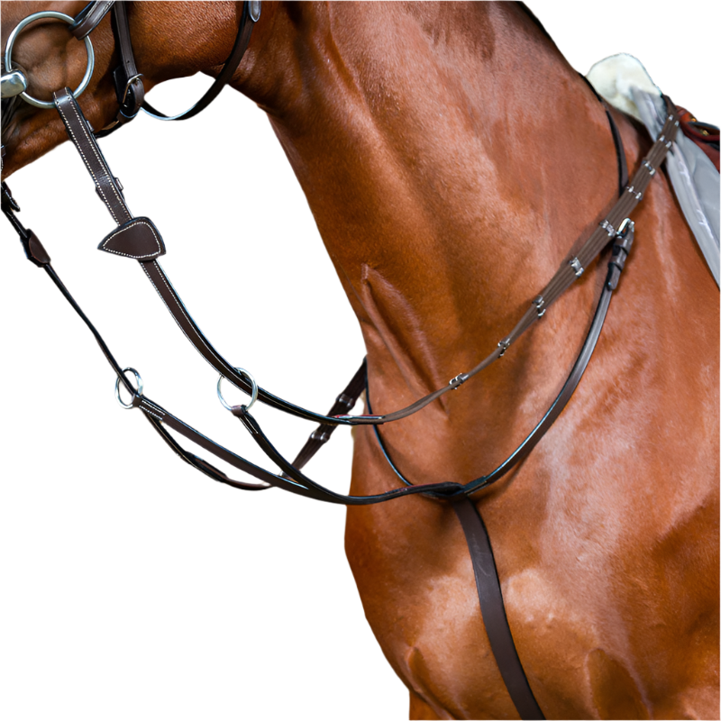 Dyon - Ringmartingaal Working by Dyon bruin | - Ohlala
