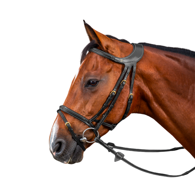 Dyon - Bridon Différence D Collection noir | - Ohlala