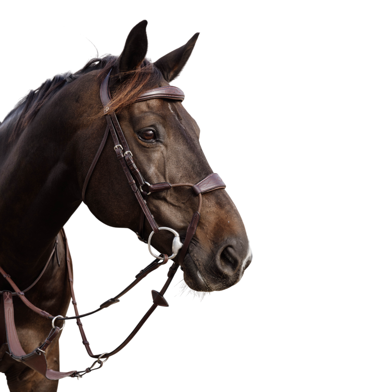 Dyon - Bridon muserolle hybride élastique New English Collection marron | - Ohlala