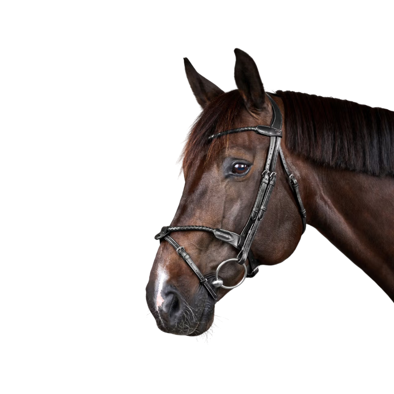 Dyon - Bridon tressé avec noseband amovible New English Collection noir | - Ohlala