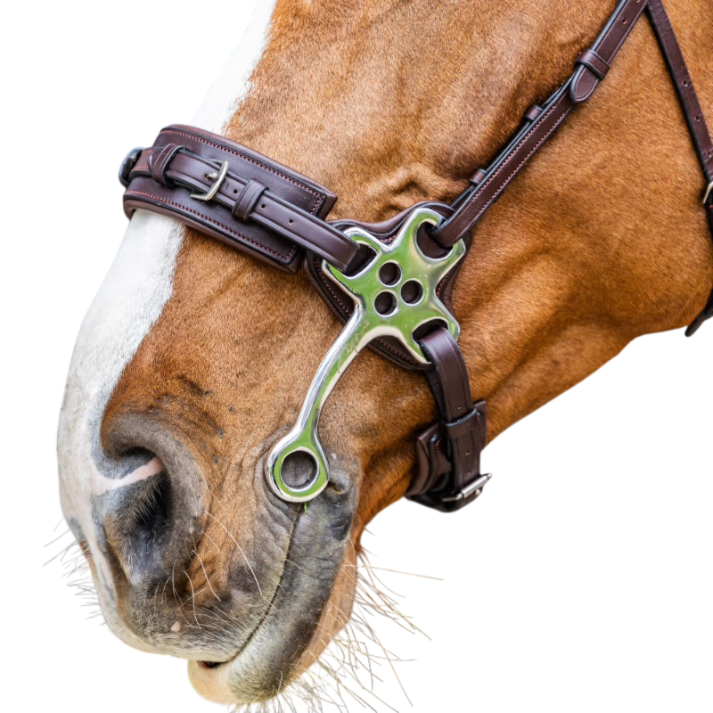 Dyon - Hackamore New English Collection marron | - Ohlala