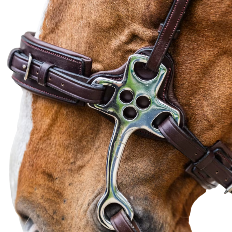 Dyon - Hackamore New English Collection marron | - Ohlala
