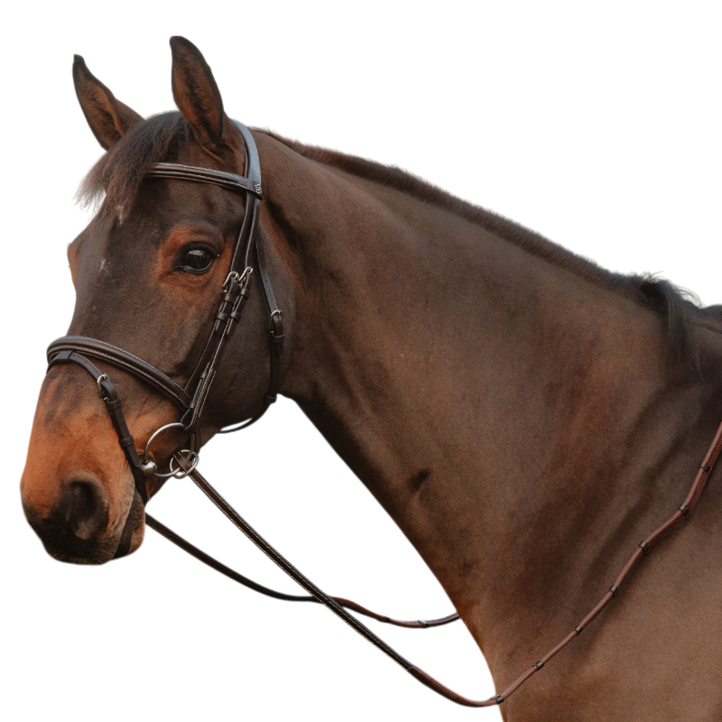 Dyon - Rênes caoutchouc 1/2 avec 7 arrêtoirs fermeture à anneaux marron | - Ohlala