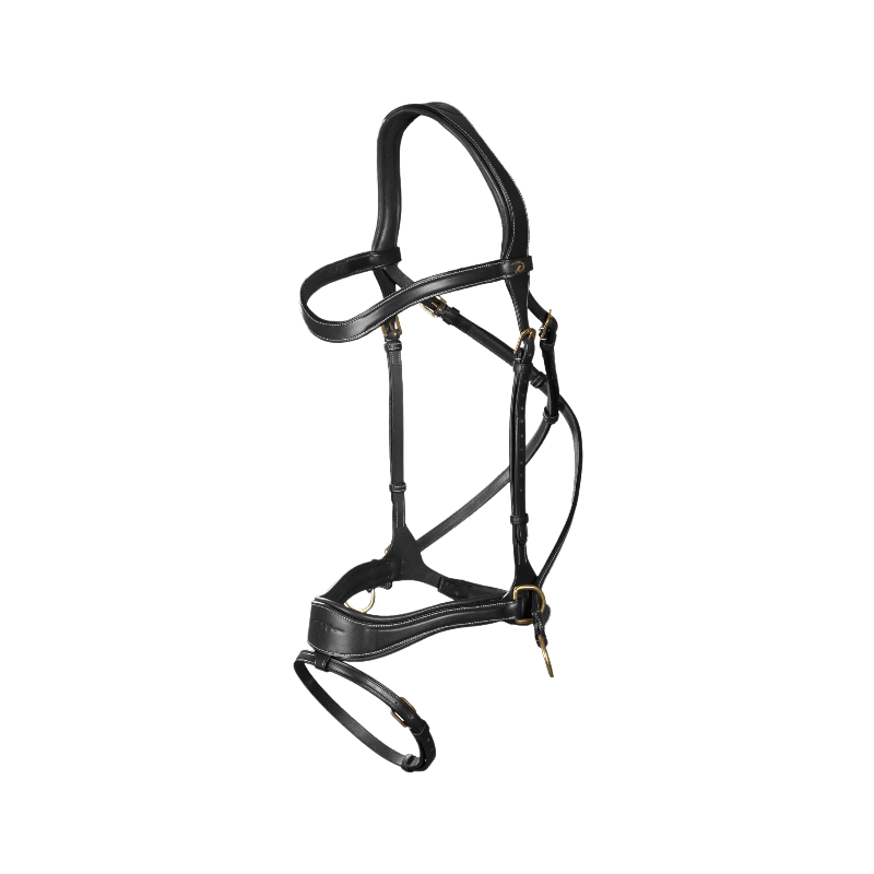 Dyon - Bridon D Motion D Collection têtière anatomique noir | - Ohlala