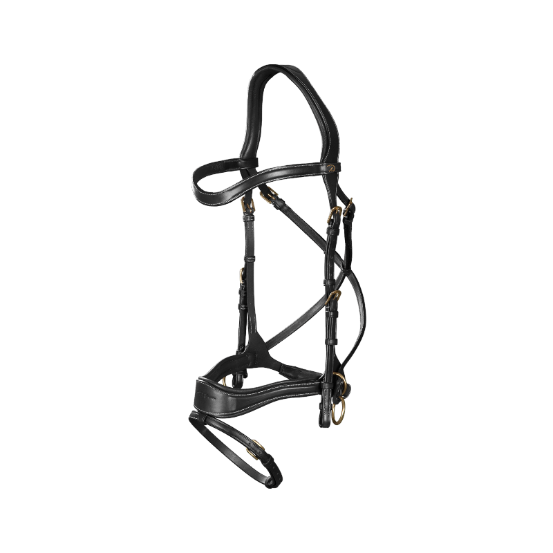 Dyon - Bridon D Motion D Collection têtière anatomique noir | - Ohlala