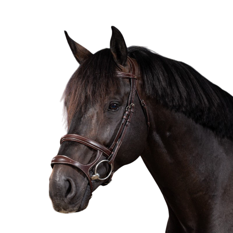 Dyon - Bridon double muserolle US Collection havane | - Ohlala