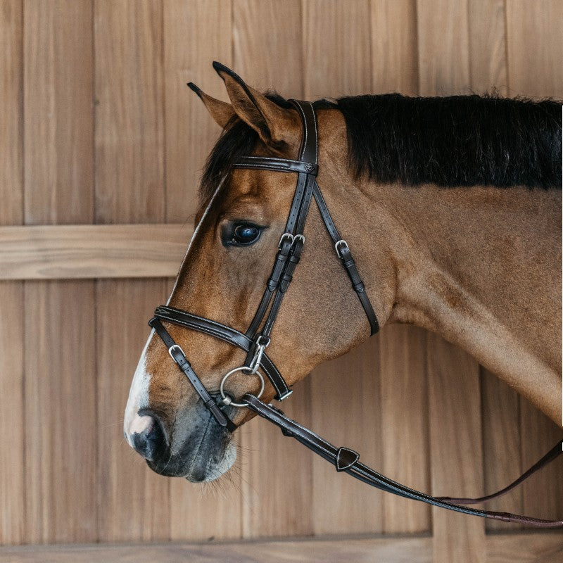 Dyon - Working By Dyon combination noseband bridle with snap hooks, havana | - Ohlala