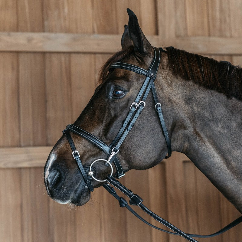 Dyon - Bridon muserolle combinée avec mousquetons Working By Dyon noir | - Ohlala