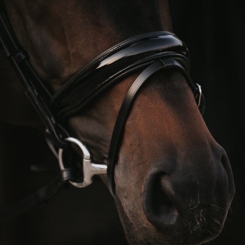 Dyon - Wide patent combination noseband bridle Working By Dyon black | - Ohlala