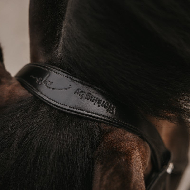 Dyon - Wide patent combination noseband bridle Working By Dyon black | - Ohlala