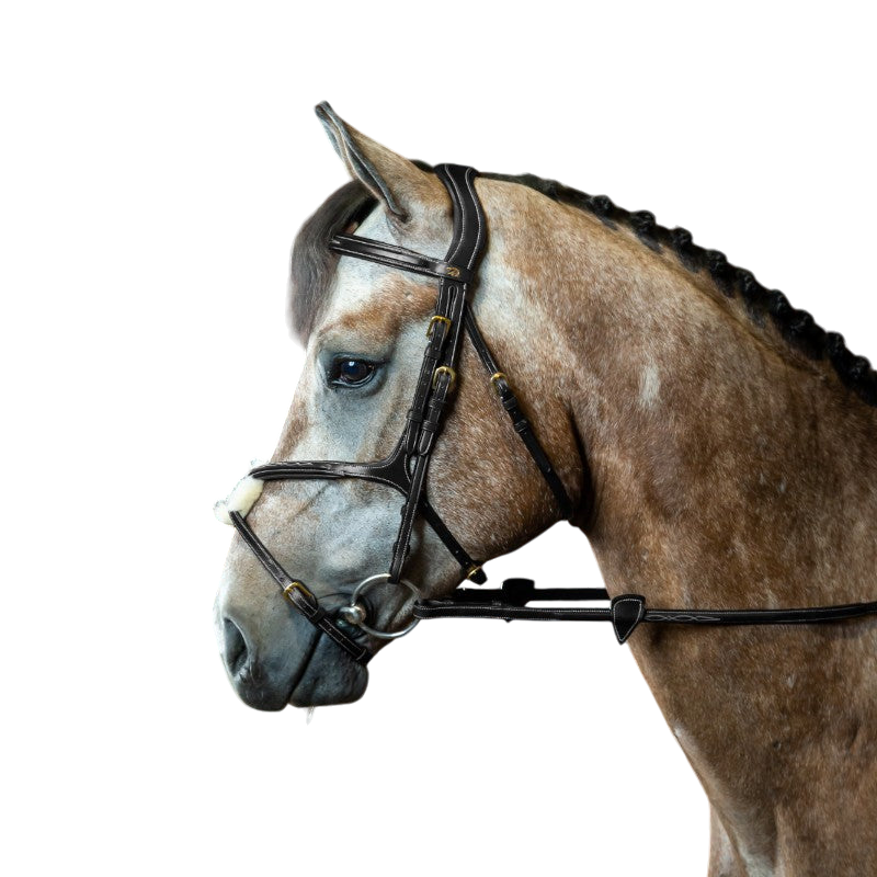 Dyon - Bridon muserolle croisée D Collection noir | - Ohlala