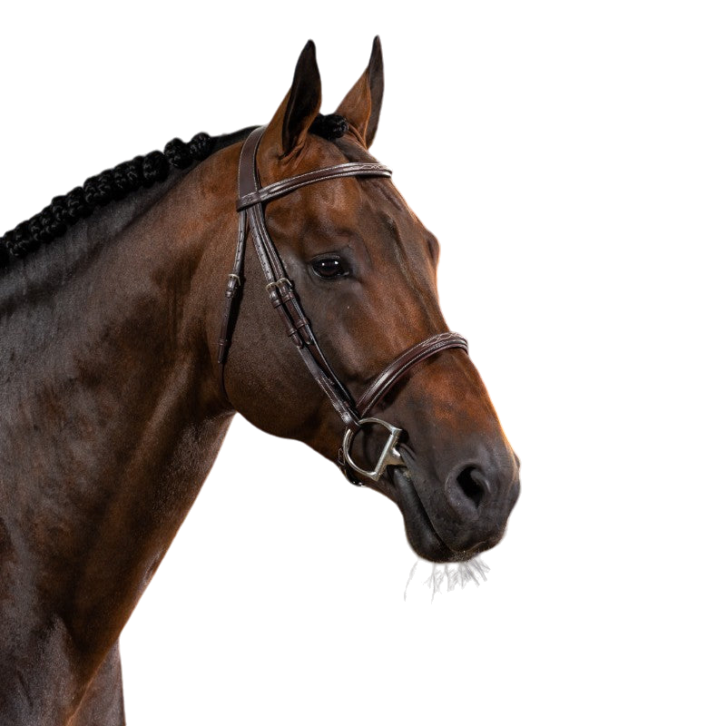 Dyon - Bridon muserolle française US Collection havane | - Ohlala