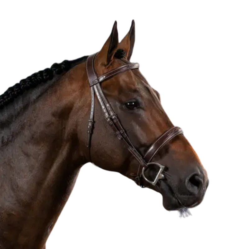 Dyon - Bridon muserolle large Hunter US Collection havane | - Ohlala