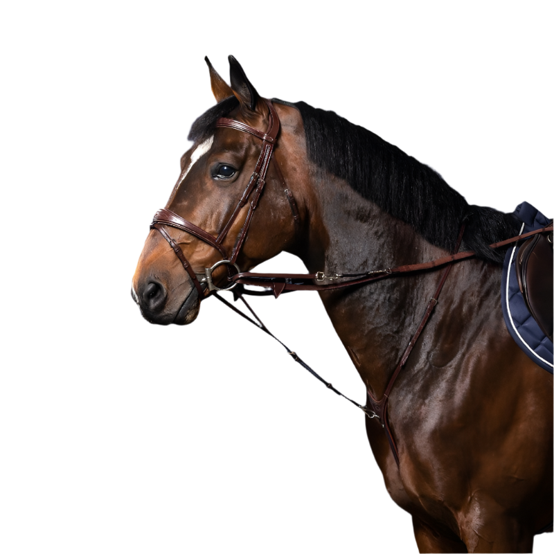 Dyon - Fourchette Howlett New English Collection brun | - Ohlala