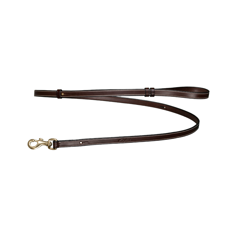 Dyon - Laisse pour chien Ajustable marron