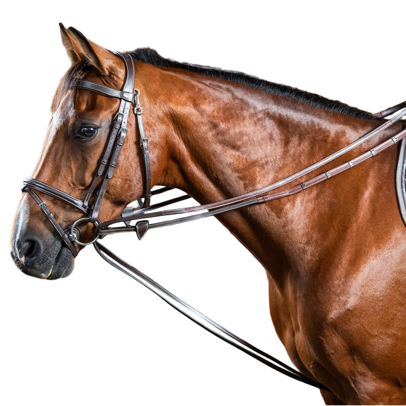 Dyon - Rênes allemandes Hunter 1/2 Working By Dyon marron | - Ohlala