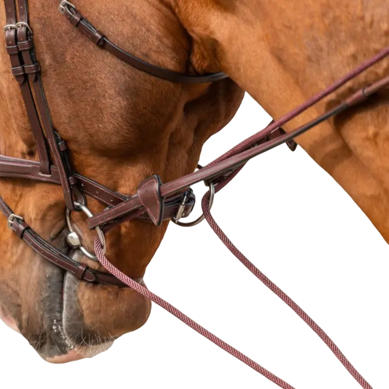 Dyon - Rênes allemandes en cuir et nylon 5/8 New English Collection brun | - Ohlala