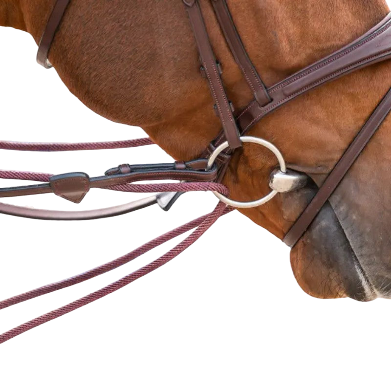 Dyon - Rênes allemandes en cuir et nylon 5/8 New English Collection brun | - Ohlala