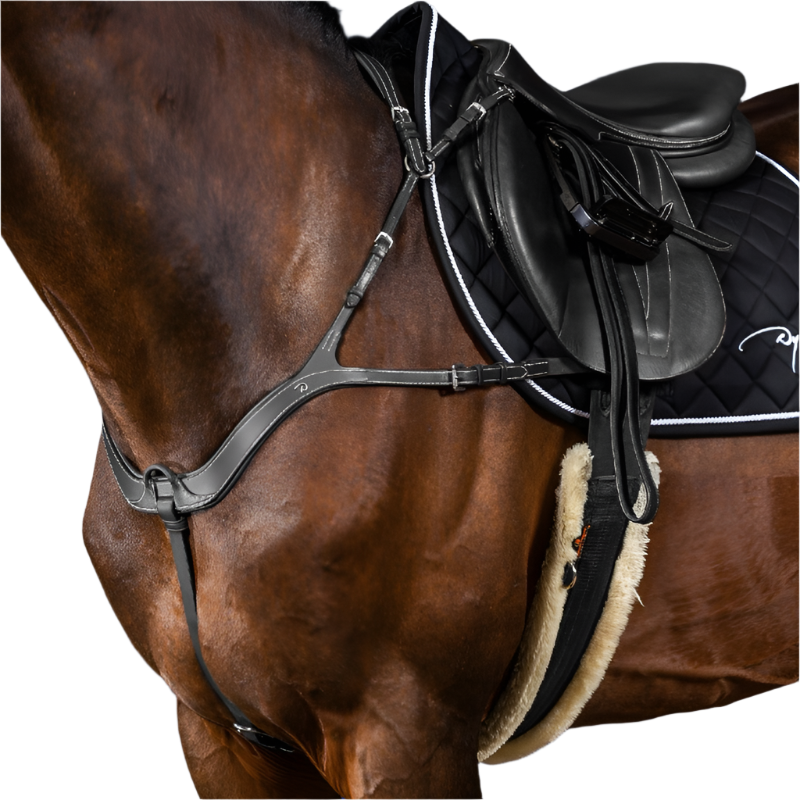 Dyon - Collier de chasse anatomique US Collection noir | - Ohlala