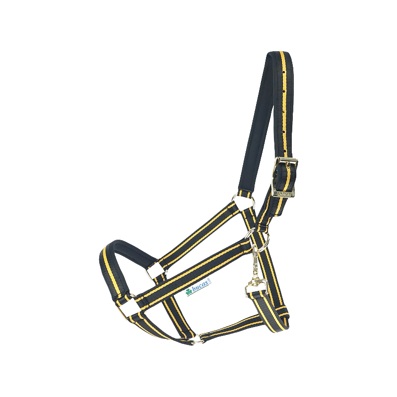 Bucas - Dublin Headcollar Black/ Gold