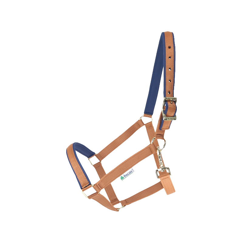 Bucas - Dublin Headcollar Brown/ Navy