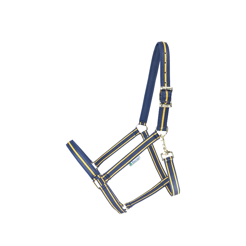 Bucas - Cavezza Dublin navy/ gold