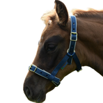 Bucas - Dublin Foal Headcollar Navy/ Silver