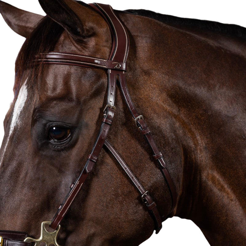 Dyon - Bridon hackamore US Collection havane | - Ohlala