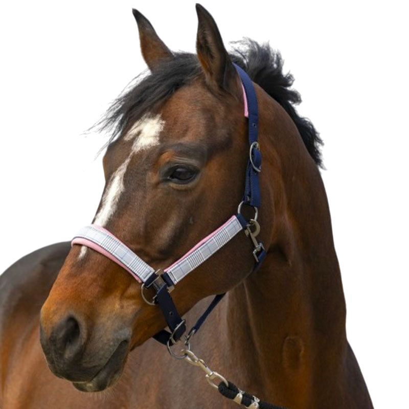 Equithème - Check nylon headcollar navy/pink | - Ohlala