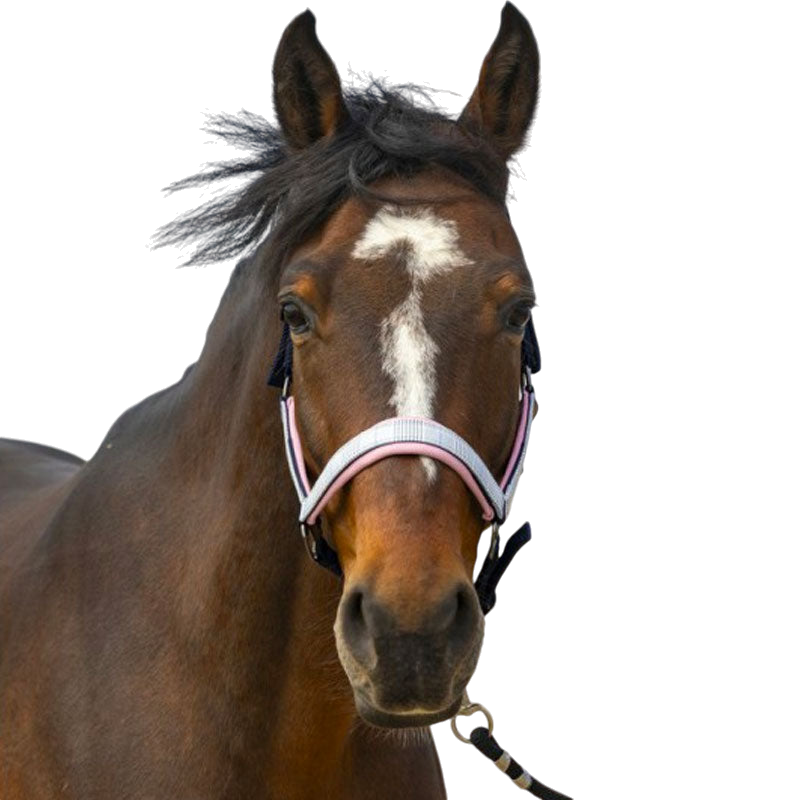 Equithème - Check navy/pink nylon headcollar | - Ohlala