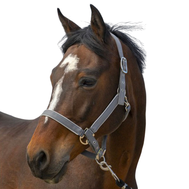 Equithème - Nylonowy kantar Light szary | - Ohlala